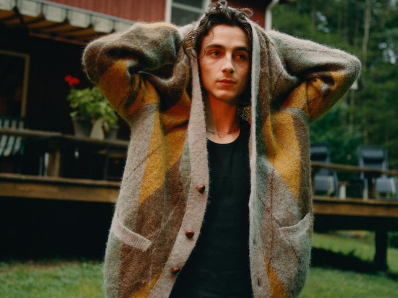 Timothee Chalamet's measurements, bio, height, weight, and shoe size