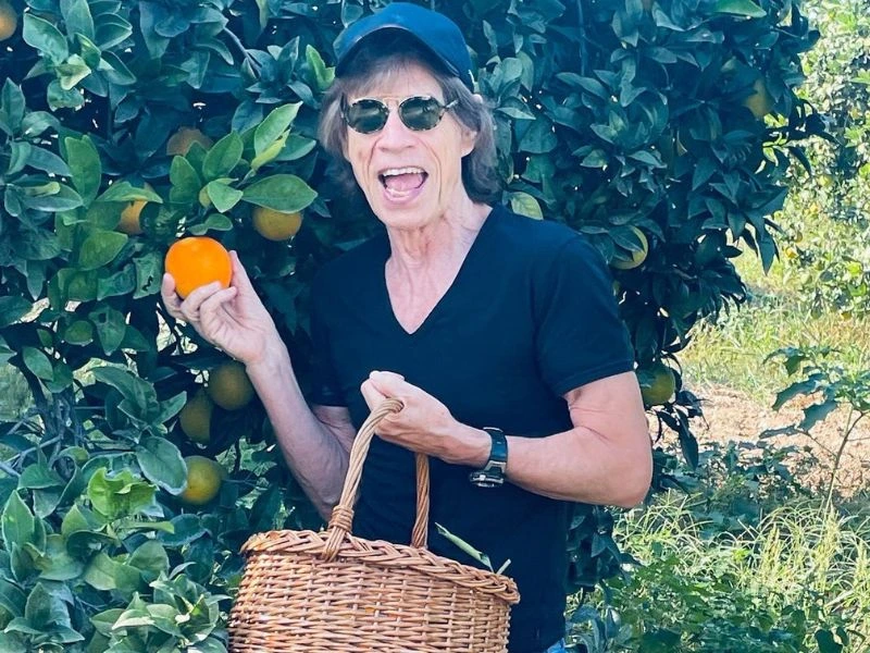 Mick Jagger measurements, bio, height, weight, shoe
