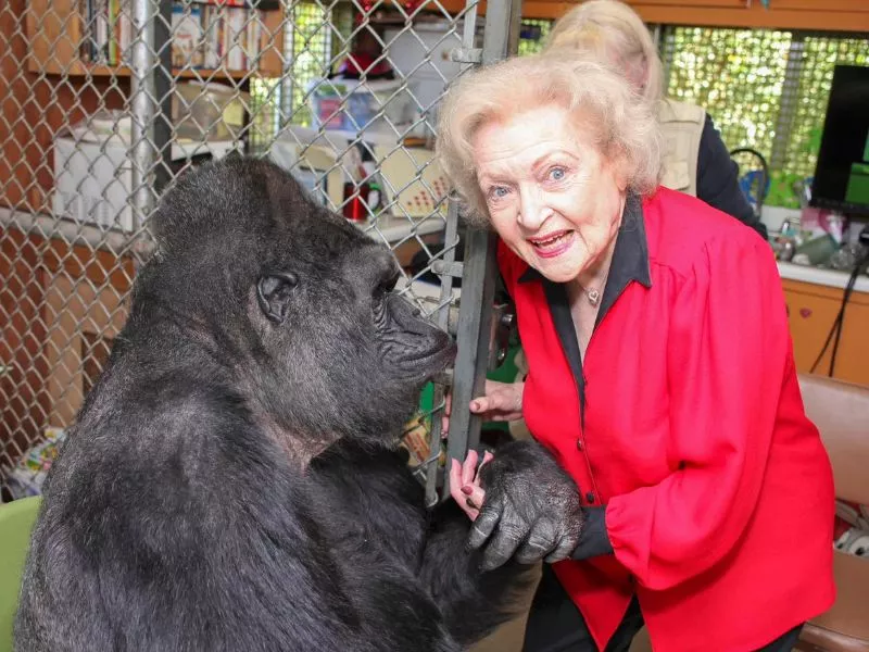 Betty White measurements, bio, height, weight, shoe and bra size