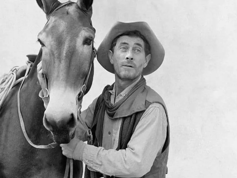 Ken Curtis measurements, bio, height,weight, shoe size