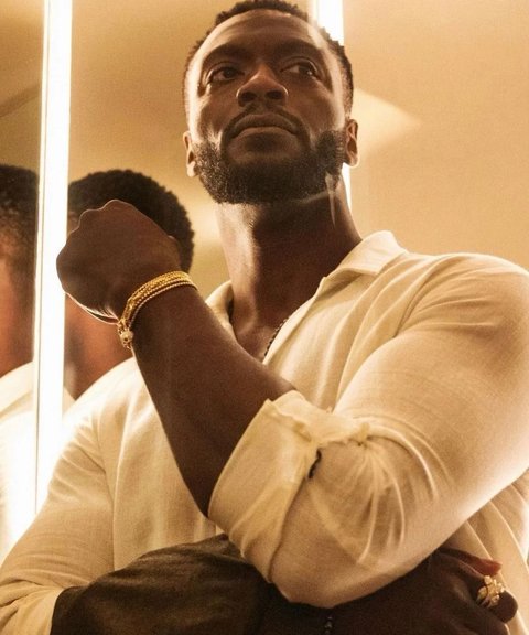Aldis Hodge