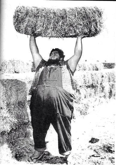 Haystacks Calhoun