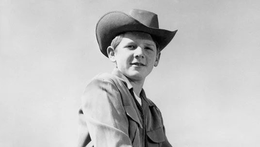David Stollery