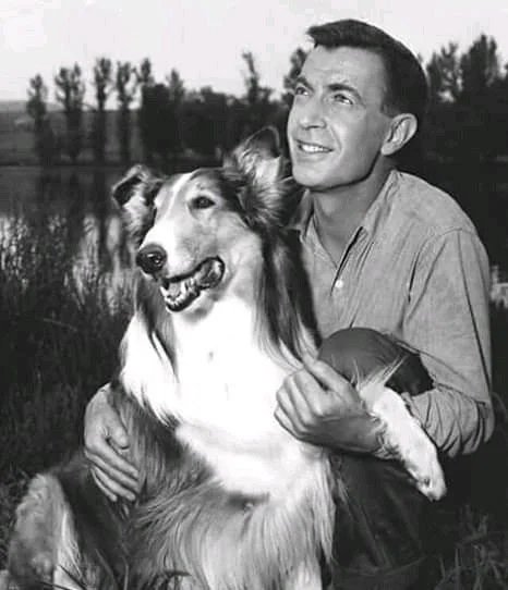Hugh Reilly