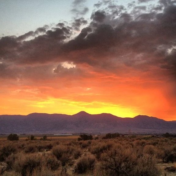 Sunset Carson