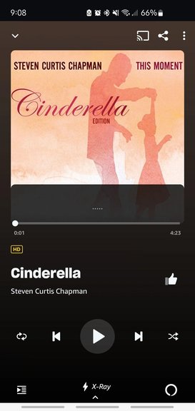 Steven Curtis Chapman