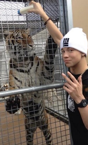 Taylor Caniff