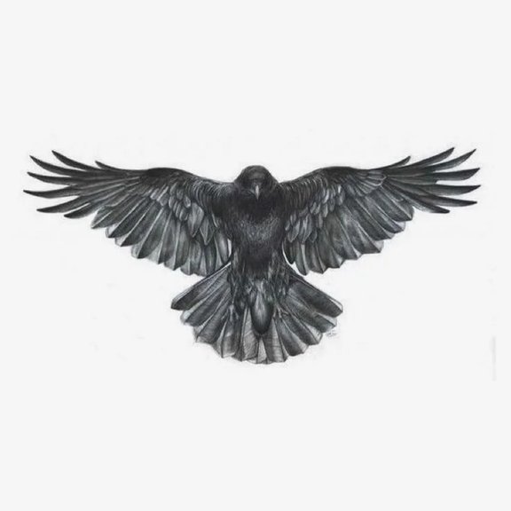Raven