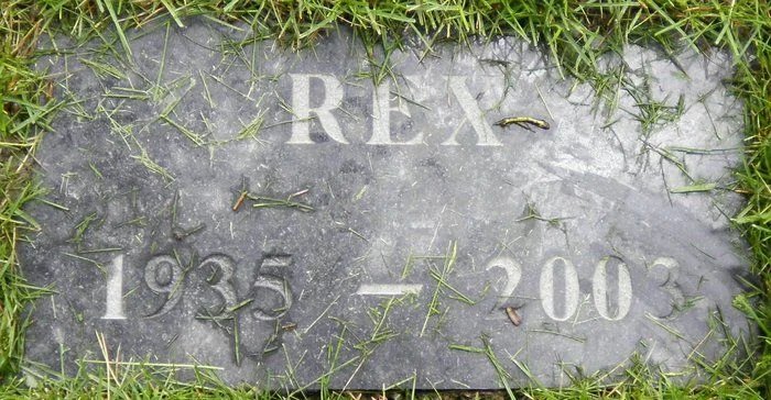Rex Robbins