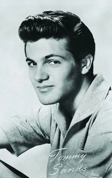 Tommy Sands